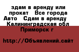 здам в аренду или прокат - Все города Авто » Сдам в аренду   . Калининградская обл.,Приморск г.